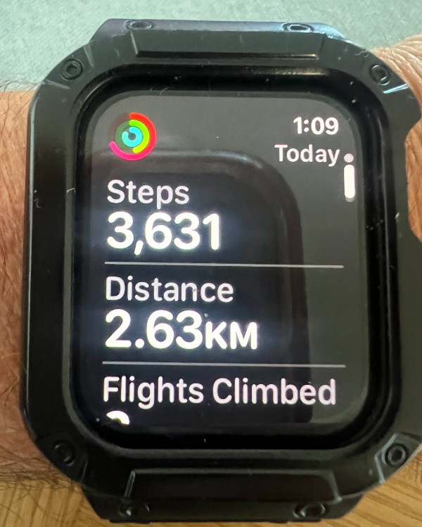 A smart watch